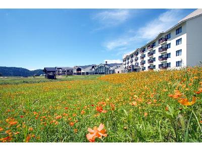 �G�[�XJTB�F�z�e���n�[�x�X�g�X�L�[�W�������R